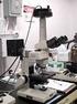 Fen Bilgisi Öğretmen Adaylarının Mikroskop Kullanım Bilgilerinin İncelenmesi. An Analysis of Pre-Service Science Teachers Microscope Usage Knowledge