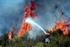 Bodrum da 35 hektar yandı