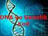DNA ve Genetik Kod Kazanım Değerlendirme Sınavı 2 1-