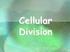 Hücre siklusu HÜCRE BÖLÜNMESİ. Prokaryotlarda Bölünme. Hücre Bölünmesi ve Kontrolü 12/12/13 BÜYÜME. BÖLÜNME mitoz ve mayoz