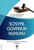 BİREYSEL EMEKLİLİK SİSTEMİ PROF.DR. ŞÜKRAN ERTÜRK DOKUZ EYLÜL ÜNİVERSİTESİ HUKUK FAKÜLTESİ İŞ VE SOSYAL GÜVENLİK HUKUKU ANABİLİM DALI