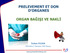 PRELEVEMENT ET DON D ORGANES ORGAN BAĞIŞI VE NAKLİ