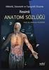 SYSTEMA UROGENITALE. Doç. Dr. Ercan TANYELİ. İ.Ü. Cerrahpaşa Tıp Fakültesi Anatomi Anabilim Dalı