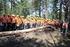 Karadere (Kastamonu) Orman İşletme Müdürlüğü Doğal Gençleştirme Alanlarında Sıfır Alan Yöntemi İle Başarı Kontrolü