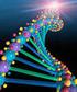 Genetik Bilgi: DNA Yapısı, Fonksiyonu ve Replikasyonu. Dr. Mahmut Çerkez Ergören