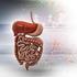 ÖZGEÇMİŞ. Üst Gastrointestinal Endoskopi Yapılmış Hastalarda Hepatit B ve Hepatit C Sıklığı- Prof.Dr.Necati Yenice