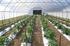 Determination of Greenhouse Agriculture Potential of The Kırşehir Province