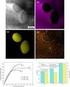 INVESTIGATION OF WEAR PROPERTIES OF A Cu-Cr-Zr ALLOY