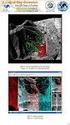 Landsat Uydu Görüntüleri Kullanılarak Kontrolsüz Sınıflandırma Yöntemi İle Bitki Örtüsü Değişimi: Konya Yunak Örneği