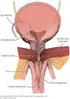 Tek Taraflı İnguinal Herni Tamiri ve İlioinguinal İliohipogastrik Blok: Perioperatif ve Postoperatif Bulgularımız