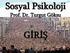 Sosyal Psikolojiye Giriş (PSY 201) Ders Detayları