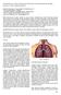 Hastane Bilgi Yönetimi Sisteminde Radyolojik Görüntülemelerde Akciğer Kanseri Ön Tanı Yazılımı Eklentisi