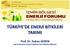 TÜRKİYE DE ENERJİ BİTKİLERİ TARIMI. Prof. Dr. Hakan GEREN Ege Üniversitesi Ziraat Fakültesi Tarla Bitkileri Bölümü