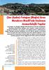 Çine (Aydın)-Yatağan (Muğla) Arası Menderes Masifi nde Gözlenen Jeomorfolojik Yapılar