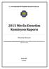 2015 Meclis Denetim Komisyon Raporu