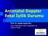 Antenatal Doppler Fetal İyilik Durumu. Prof.Dr. Aydan Asyalı Biri Koru Hastaneleri Kadın Hastalıkları ve Doğum Kliniği