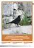 KARATAVUK (Turdus merula L.) UN AKDENİZ ÜNİVERSİTESİ KAMPÜSÜNDEKİ ÜREME BİYOLOJİSİ