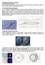 Canlılarda Üreme ve Gelişme 1.Üreme Hücreleri (Gametler) 1.1.Erkek Üreme Hücreleri Spermler akrozom 1.2.Dişi Üreme Hücreleri Yumurtalar vitellus