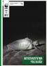 YEŞİL DENİZ KAPLUMBAĞASININ KORUNMASI İÇİN İŞBİRLİĞİ YAPIYORUZ BROŞÜR TR 2017 AKYATAN2016 NIN YOLCULUĞU