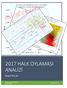 2017 HALK OYLAMASI ANALİZİ