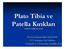 Plato Tibia ve ÖĞRENCİ DERS NOTLARI. Ortopedi ve Travmatoloji Anabilim Dalı
