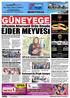 HAFTALIK SİYASİ YEREL HABER GAZETESİ EJDER MEYVESI