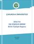 ÇUKUROVA ÜNİVERSİTESİ Yılı DIŞ İLİŞKİLER BİRİMİ Birim Faaliyet Raporu