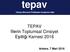 TEPAV İllerin Toplumsal Cinsiyet Eşitliği Karnesi 2016