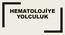 HEMATOLOJİYE YOLCULUK