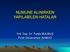 NUMUNE ALINIRKEN YAPILABİLEN HATALAR. Yrd. Doç. Dr. Funda BULMUŞ Fırat Üniversitesi SHMYO