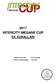 2017 INTERCITY MEGANE CUP EK KURALLARI