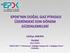 EPDK NIN DOĞAL GAZ PİYASASI ÜZERİNDEKİ SON DÖNEM DÜZENLEMELERİ