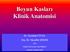 Boyun Kasları Klinik Anatomisi Dr. Nurullah YÜCEL Doç. Dr. Muzaffer ŞEKER