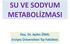 SU VE SODYUM METABOLİZMASI. Doç. Dr. Aydın ÜNAL Erciyes Üniversitesi Tıp Fakültesi