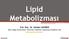 Lipid Metabolizması Yrd. Doç. Dr. Serkan SAYINER