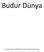 Budur Dünya. Nureddin Yıldız ın tarihli (301.) Hayat Rehberi dersidir.