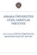 ANKARA ÜNİVERSİTESİ GÜZEL SANATLAR FAKÜLTESİ EĞİTİM-ÖĞRETİM YILI AKADEMİK FAALİYET RAPORU