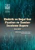 Elektrik ve Doğal Gaz Fiyatları ve Zamları İnceleme Raporu