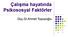 Çalışma hayatında Psikososyal Faktörler. Doç.Dr.Ahmet Topuzoğlu
