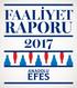 İÇİNDEKİLER ANADOLU EFES HAKKINDA SÜRDÜRÜLEBİLİRLİK KURUMSAL YÖNETİM BİRA GRUBU 18 FİNANSAL BİLGİLER MEŞRUBAT GRUBU 30 YÖNETİM VE MESAJLAR