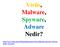 Virüs, Malware, Spyware, Adware Nedir?   Nedir_831.html