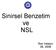 Sinirsel Benzetim ve NSL. İlker Kalaycı 06, 2008