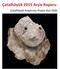 Çatalhöyük 2015 Arşiv Raporu. Çatalhöyük Araştırma Projesi Kazı Ekibi