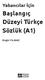 Başlangıç Düzeyi Türkçe Sözlük (A1)