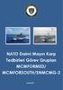 NATO Daimi Mayın Karşı Tedbirleri Görev Grupları MCMFORMED/ MCMFORSOUTH/SNMCMG-2