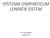 SYSTEMA LYMPHATICUM LENFATİK SİSTEM