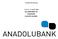 ANADOLUBANK A.Ş. 1 OCAK - 31 MART 2009 ARA DÖNEMİNE AİT KONSOLİDE FAALİYET RAPORU