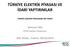 TÜRKİYE ELEKTRİK PİYASASI VE İDARİ YAPTIRIMLAR