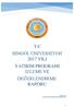 T.C BİNGÖL ÜNİVERSİTESİ 2017 YILI YATIRIM PROGRAMI İZLEME VE DEĞERLENDİRME RAPORU